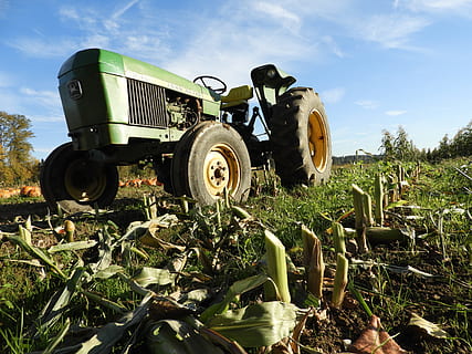traktor, tanah pertanian, John Deere, Jagung, panen, pertanian, mesin, negara, menanam, bidang, tanah, pertumbuhan, alam, mesin pertanian, kendaraan darat, hari, langit, pemandangan, angkutan, pemandangan pedesaan, moda transportasi, peralatan pertanian, lingkungan Hidup, sinar matahari, di luar rumah, roda, petani, 5K, CC0, domain publik, bebas royalti