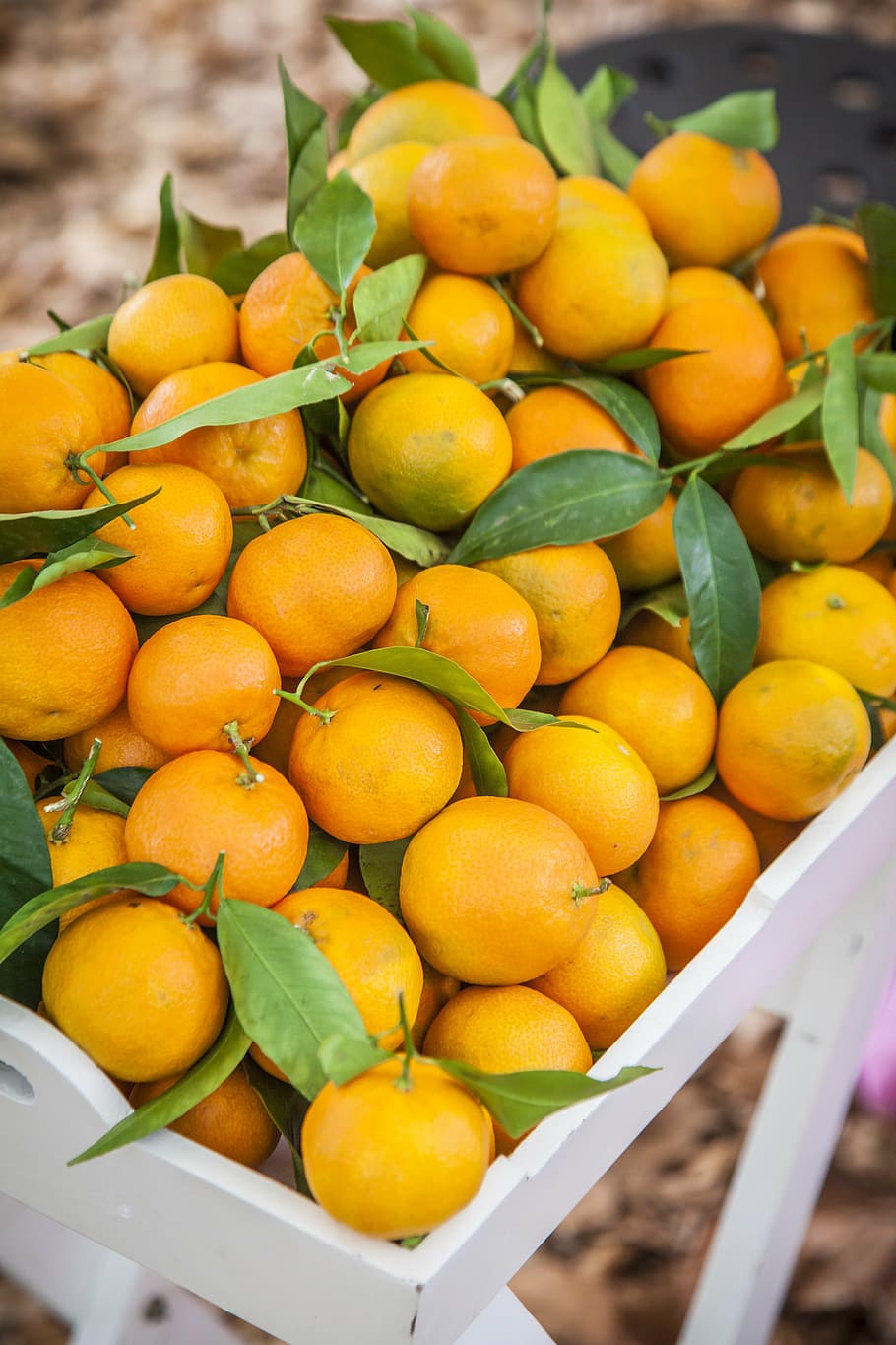 pomeranče, oranžový, čerstvý džus, sevření, disk, snídaně, ovoce, slupky, citrusové stromy, jídlo a pití, svěžest, citrusové ovoce, jídlo, Zdravé stravování, velká skupina objektů, hojnost, trh, žlutá, blahobyt, oranžová barva, kontejner, stání na trhu, pomeranč, den, na prodej, nikdo, detail, venku, maloobchodní displej, zralý, 5K