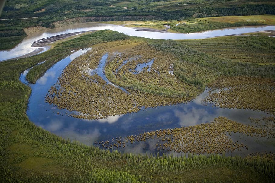 aèria, riu, llacs, bosc, refugi de la vida silvestre nacional tetlin, paisatge, fotografia, escènic, cel, naturalesa, tetlin, vida salvatge, refugi, núvols de cel, núvol, paisatge natural, natural, fons de natura, medi ambient, aigua, escenics - natura, planta, escena rural, bellesa a la natura, escena tranquil·la, tranquil·litat, terra, color verd, agricultura, cap gent, camp, dia, escena no urbana, vista d’angle alt, vista aèria, a l'aire lliure, rierol: aigua que flueix, 4K