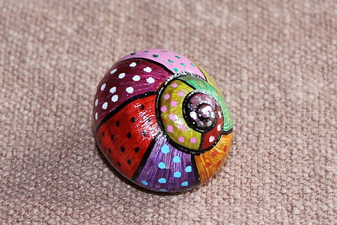 conchiglia, cabaret, spirale, avvicinamento, modello, nessuno, multicolore, concentrarsi sulle conoscenze acquisite, macchiato, animale, temi animali, insetto, invertebrato, natura, giorno, natura morta, vista dall'alto, modello naturale, arte e artigianato, fauna selvatica, segni di animali, all'aperto, mestiere, 1080P, CC0, dominio pubblico, privo di copyright
