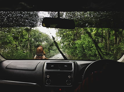 black vehicle dashboard, black vehicle interior, car, vehicle, windscreen, tree, woodland, mode of transportation, transportation, land vehicle, vehicle interior, car interior, windshield, motor vehicle, rear-view mirror, glass - material, plant, one person, travel, day, rear view, real people, transparent, nature, outdoors, road trip, 4K, CC0, public domain, royalty free