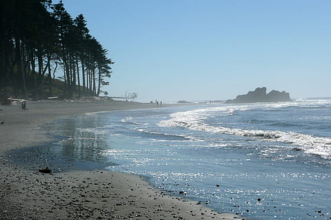 ruby beach, washington, usa, landscape, shoreline, pacific, olympic national park, coast, water, ocean, scenery, nature, sea, land, beach, sky, beauty in nature, scenics - nature, tree, tranquility, day, plant, tranquil scene, clear sky, wave, non-urban scene, sand, idyllic, outdoors, no people, horizon over water, 2K, CC0, public domain, royalty free