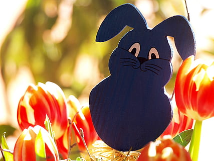 Osterhase, Ostern, Hase, Zoll, Brauch, Osterei, bunt, Zahl, Holz, gemalt, Tulpen, Blau, Gelb, Orange, Hasen Ohren, Osterfigur, süß, Ostergruß, Osterferien, Osterdekoration, Frühling, frühlingsanfang, Blume, blühende Pflanze, Darstellung, Nahansicht, Pflanze, Kunst und Handwerk, Natur, Kreativität, keine Leute, Fokus auf den Vordergrund, Tag, Schönheit in der Natur, menschliche Darstellung, Frische, Kunst, Feier, Zerbrechlichkeit, Blütenstand, Sonnenlicht, draußen, Blütenkopf, 2K, CC0, gemeinfrei, lizenzfrei