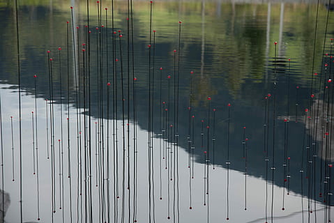 riflessione, stagno, opera d'arte, scultura, figura, Wattens, mondi di cristallo, tirolo, esposizione, giorno, all'aperto, nessuno, inverno, acqua, architettura, struttura costruita, natura, modello, vetro - materiale, finestra, bagnato, esterno dell'edificio, trasparente, fotogramma intero, pioggia, avvicinamento, caratteristica della parete, composito digitale, 5K, CC0, dominio pubblico, privo di copyright