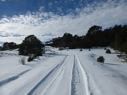 landscape, snow, footprints, path, running gear, snowy mountain, white, snowy landscape, tree, winter, cold temperature, plant, cloud - sky, sky, scenics - nature, tranquil scene, nature, beauty in nature, tranquility, white color, no people, day, covering, non-urban scene, land, environment, outdoors, snowcapped mountain, powder snow, 4K, CC0, public domain, royalty free