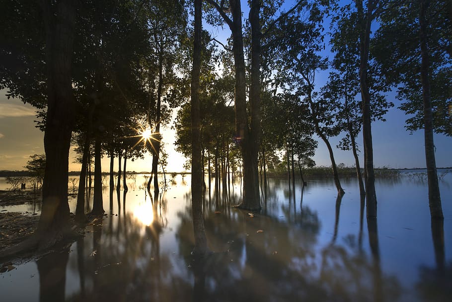 cos, aigua, arbres, posta de sol, a l'aire lliure, arbre, fons, bonic, natural, verd, bellesa, cel, a tot color, planta, viatjar, primavera, temporada, paisatge, coll, solter, el sol, reflexionar, impressionant, el parc, tropical, bosc, escena, tardor, escènic, onada, el matí, sol, sortida del sol, trist, tranquil·litat, reflexió, llac, bellesa a la natura, escena tranquil·la, escenics - natura, cap gent, naturalesa, creixement, terra, escena no urbana, llum solar, idíl·lic, llac de reflexió, 5K