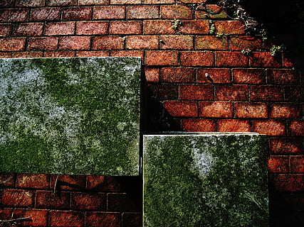 bricks, wall, backdrop, brickwork, grunge, masonry, brickwall, brick, backgrounds, pattern, cement, brick wall, wall - building feature, built structure, architecture, plant, no people, day, outdoors, nature, red, green color, close-up, growth, building exterior, textured, solid, stone material, 2K, CC0, public domain, royalty free