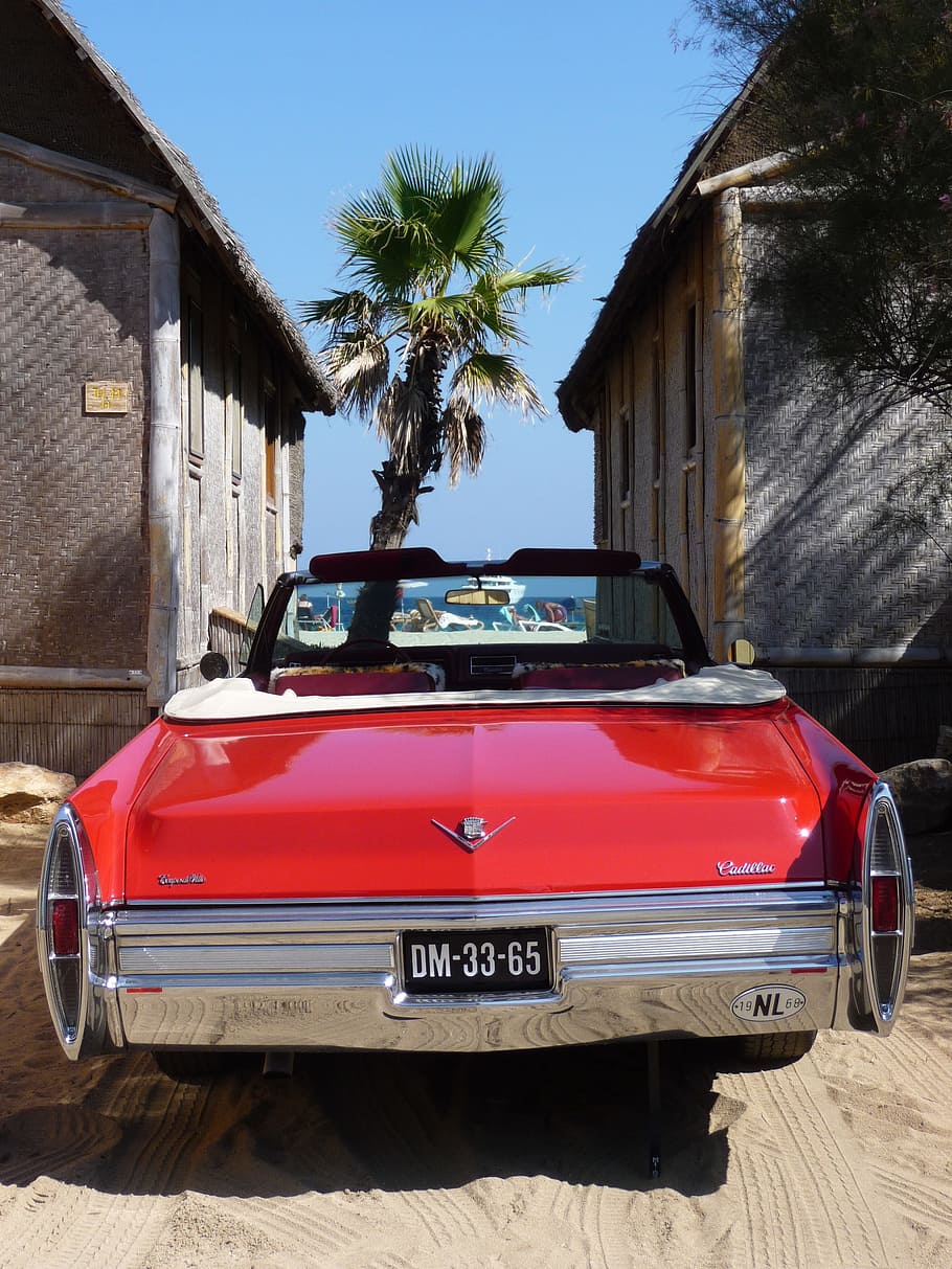 clàssic, vermell, chevrolet, convertible, vehicle, dm-33-65, placa dm -33-65, aparcat, davant, fusta, edificis, durant el dia, st tropez, automàtic, oldtimer, platja, sorra, platja, sorra, automòbil de cotxes d'època, palmell, mar, costa d’azur, cotxe, exterior de l'edifici, Palmera, casa, transport, estructura construïda, manera de transport, automòbil, arquitectura, clima tropical, arbre, vehicle terrestre, naturalesa, edifici, dia, llum solar, estil retro, cel, ombra, 2K