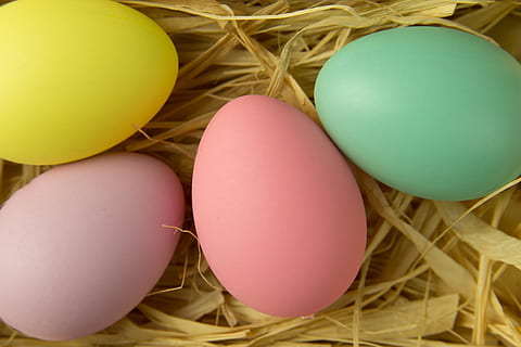 shot, Overhead, Easter eggs, various, easter, eggs, food, animal Egg, multi Colored, yellow, springtime, cultures, nature, no People, close-up, easter Egg, egg, celebration, holiday, food and drink, group of objects, event, vulnerability, fragility, animal nest, indoors, still life, nest egg, 4K