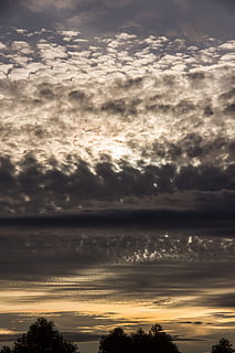 solnedgang, skyer, himmel, sølv, grå, smuk, mønstre, Australien, horisont, træer, silhuetter, sky - himmel, natur, ro, scenics, scenics - natur, skønhed i naturen, rolig scene, ingen mennesker, idyllisk, silhuet, orange farve, træ, dramatisk himmel, udendørs, sollys, ikke-urbane scene, plante, overskyet, 2K, CC0, offentligt domæne, royaltyfrie