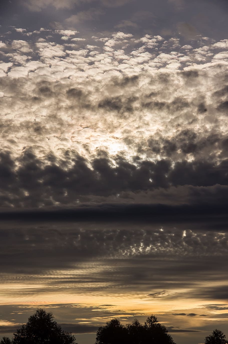 solnedgang, skyer, himmel, sølv, grå, smuk, mønstre, Australien, horisont, træer, silhuetter, sky - himmel, natur, ro, scenics, scenics - natur, skønhed i naturen, rolig scene, ingen mennesker, idyllisk, silhuet, orange farve, træ, dramatisk himmel, udendørs, sollys, ikke-urbane scene, plante, overskyet, 2K
