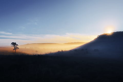 การถ่ายภาพเงา, ภูเขา, สีน้ำเงิน, ท้องฟ้า, รูปภาพ Savana, ต้นไม้, พระอาทิตย์ตกดิน, น้ำค้าง, หมอก, ธรรมชาติ, ภูมิประเทศ, ภาพเงา, กลางแจ้ง, scenics, ฉากที่เงียบสงบ, Scenics - ธรรมชาติ, ความงามในธรรมชาติ, ความเงียบสงบ, สิ่งแวดล้อม, ดวงอาทิตย์, เมฆ - ท้องฟ้า, ฉากที่ไม่ใช่ในเมือง, แสงแดด, ไม่มีคน, งดงาม, ปลูก, ที่ดิน, แสงแฟลร์ของเลนส์, 5K, CC0, โดเมนสาธารณะ, ค่าลิขสิทธิ์ฟรี