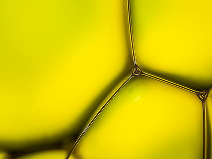 ohne Titel, Textur, abstrakt, Blase, Gelb, gestalten, Licht, Wasser, Flüssigkeit, Oberfläche, texturiert, Makro, Farbe, Linien, colore, Kanon, agua, Makrofotografie, keine Leute, Nahansicht, drinnen, kopieren sie platz, lebendige Farbe, Studioaufnahme, glänzend, mehrfarbig, Kreativität, einzelnes Objekt, Einfachheit, Frische, Stillleben, Hintergründe, grüne Farbe, Vollbild, abstrakte Hintergründe, Reinheit, 2K, CC0, gemeinfrei, lizenzfrei