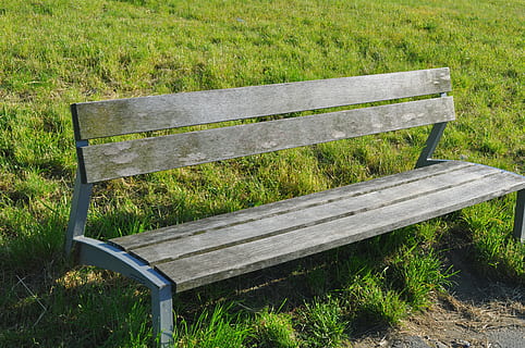 banc, buit, herba, seient, fusta, naturalesa, material de fusta, a l'aire lliure, color verd, parc - l'home va fer espai, estiu, planta, creixement, camp, terra, dia, cap gent, absència, parc, vista d’angle alt, Banc del parc, llum solar, 4K, CC0, domini públic, lliure de regalies