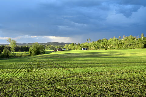 camp, nori de furtuna, peisaj, furtună, nori, vedere, natură, plafon de nori, verde, agricultură, fermă, rural, plantă, iarbă, Culoarea verde, cer, copac, teren, scenice - natura, mediu inconjurator, nor - cer, o scenă liniștită, frumusețe în natură, liniște, creştere, teren de golf, nici o persoana, verde - teren de golf, primăvară, 5K, CC0, domeniu public, fără drepturi de autor
