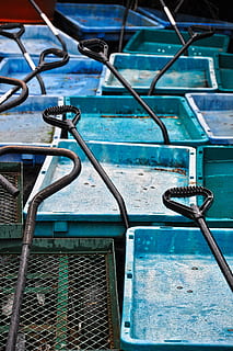 vagó, jardí, verd, rústic, transport, pati, equipament, jardineria, planta, rural, ombres de blau, blues, nanses, primavera, vegetals, agricultura, jardiner, granja, pagès, plantar, treball, metall, cap gent, dia, barana, aigua, piscina, blau, a l'aire lliure, naturalesa, vista d’angle alt, absència, centrar-se en primer pla, mar, primer pla, arquitectura, seguretat, escala, 4K, CC0, domini públic, lliure de regalies