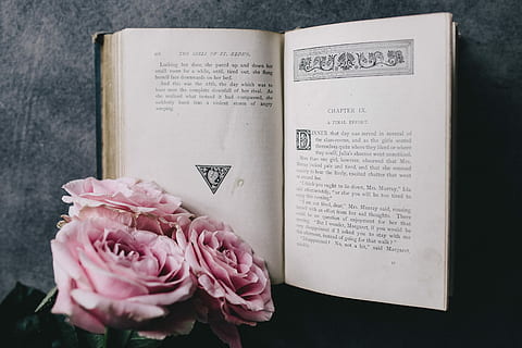 прекрасный, roseses, книга, кофе, Роза, розы, интерьер, отдыха, расслабиться, предметы первой необходимости, чтение, время, розовые розы, книги, чашка кофе, розовый цвет, закон, свадьба, нет людей, художественная культура и развлечения, праздник, цветок, цветущее растение, завод, красота в природе, текст, свежесть, крупный план, природа, в помещении, хрупкость, Цветок роза, западный сценарий, уязвимость, связь, бумага, лепесток, головка цветка, 2K, CC0, общественное достояние, роялти бесплатно