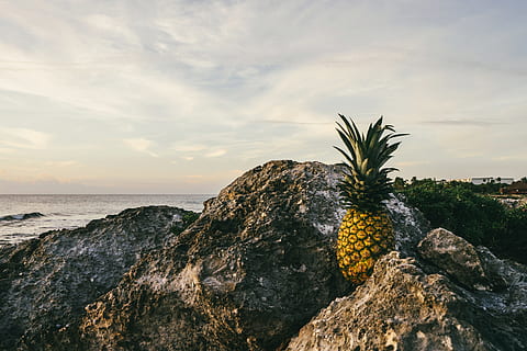 hav, landskap, natur, himmel, strand, moln, frukt, utomhus, ananas, stenar, naturskön, marinmålning, havsstrand, tropisk frukt, vatten, vågor, sten, skönhet i naturen, rock-objekt, scenics - natur, fast, moln - himmel, växt, lugn, landa, inget folk, lugn plats, tillväxt, horisont, icke-urbana scenen, horisont över vatten, 5K, CC0, offentligt domän, royaltyfria