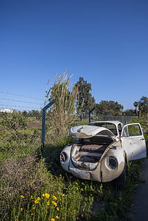 auto, oud, vodje, verlaten, roestig, uitgestorven, veld-, landelijk, de lente, mooi, klassieke auto, kever, weg, Volkswagen bedienbaar, klassiek, vw, model-, wit, dag, vervoer, geen mensen, heldere lucht, fabriek, hemel, wijze van transport, motorvoertuig, natuur, landvoertuig, verouderd, gras, beschadigde, land-, groei, kopie ruimte, verslechtering, geruïneerd, 2K, CC0, publiek domein, royaltyvrij