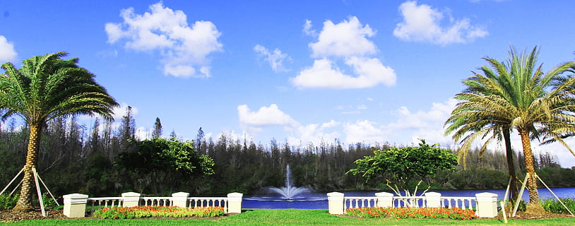 Dam, luksus, vand, træ, landskab, vand, træ, naturlig, florida, Palme træ, ingen mennesker, himmel, sky - himmel, dag, plante, tropisk klima, natur, græs, ro, udendørs, skønhed i naturen, miljø, scenics - natur, blå, jord, rolig scene, rejse, kokos palme, tropisk træ, 5K, CC0, offentligt domæne, royaltyfrie