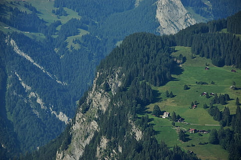 aerian, vedere, stâncă de munte, timpul zilei, fotografie, case, top, Munte, creastă, pădure, pin, stâncă, pantă, deal, piatră, peisaj, natură, copac, de munte, verde, scenice - natura, frumusețe în natură, o scenă liniștită, plantă, liniște, mediu inconjurator, scenă non-urbană, Culoarea verde, idilic, vedere în unghi mare, zi, nici o persoana, teren, la distanta, creştere, în aer liber, conifer, varf de munte, 2K, CC0, domeniu public, fără drepturi de autor