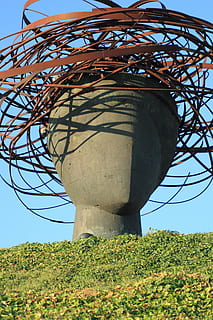 hoved statuette, hjerne, tænke, abstrakt, lav vinkel visning, plante, natur, himmel, dag, ingen mennesker, træ, skyfri himmel, arkitektur, bygget struktur, udendørs, vækst, sollys, metal, forbindelse, afdeling, grøn farve, blå, jord, 5K, CC0, offentligt domæne, royaltyfrie