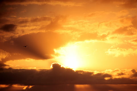 Sonnenuntergang, Sonne, dunkle Wolken, Wolken, untergehende Sonne, abendstimmung, Abendhimmel, Romantik, Dramatischer Himmel, wolke - himmel, Natur, szenen, Himmel, fliegend, Schönheit in der Natur, orange Farbe, Szenen - Natur, Vogel, Tier, Tierwelt, Tierthemen, Wirbeltier, Silhouette, Sonnenlicht, Tiere in freier Wildbahn, ruhige Szene, Ruhe, in der Luft, keine Leute, draußen, 5K, CC0, gemeinfrei, lizenzfrei