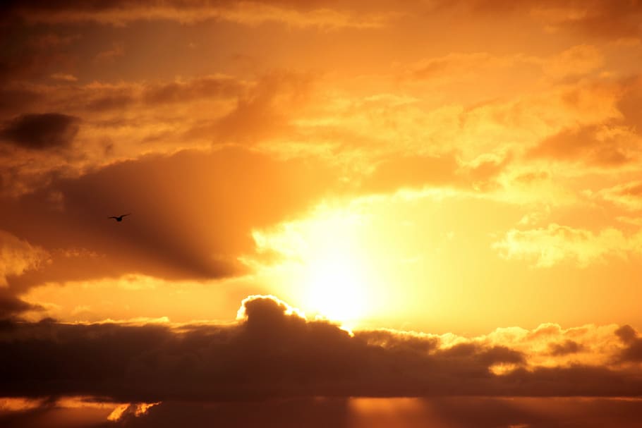 Sonnenuntergang, Sonne, dunkle Wolken, Wolken, untergehende Sonne, abendstimmung, Abendhimmel, Romantik, Dramatischer Himmel, wolke - himmel, Natur, szenen, Himmel, fliegend, Schönheit in der Natur, orange Farbe, Szenen - Natur, Vogel, Tier, Tierwelt, Tierthemen, Wirbeltier, Silhouette, Sonnenlicht, Tiere in freier Wildbahn, ruhige Szene, Ruhe, in der Luft, keine Leute, draußen, 5K