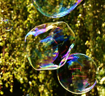 burbuja de jabón, enorme, grande, hacer pompas de jabon, Wabbelig, iridiscente, agua jabonosa, divertido, volar, vistoso, burbuja, jabón sud, transparente, vulnerabilidad, fragilidad, reflexión, multi color, esfera, naturaleza, aire, brillante, día, de cerca, varita de burbuja, centrarse en primer plano, forma, al aire libre, nadie, luz del sol, diseño, ligero, 2K, CC0, dominio público, libre de derechos
