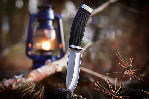 black, handled, pocketknife, red, flowers, selective, focus photography, knife, lantern, flame, light, branch, forest, woodland, tree, autumn, nature, wood, camping, lighting equipment, focus on foreground, close-up, no people, illuminated, metal, electric lamp, electric light, communication, outdoors, sign, dark, heat - temperature, burning, sharp, day, technology, hanging, steel, alloy, 5K, CC0, public domain, royalty free