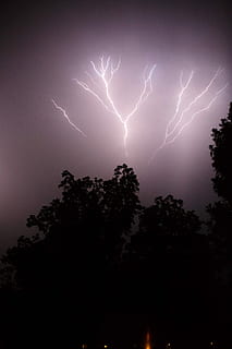 silhouette, trees, thunder lightning, photo of lightning, sky, lightning, bolt, tree, nature, outdoors, storm, electricity, thunder, night, evening, doppler, radar, wind, electric, mighty, god, thor, cloud, power in nature, power, thunderstorm, cloud - sky, warning sign, sign, plant, beauty in nature, communication, forked lightning, no people, low angle view, ominous, 5K, CC0, public domain, royalty free