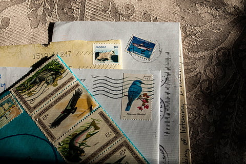 assorted, animal-print postage stamps, mail, postal, letter, envelope, paper, postage, card, postmark, correspondence, post, stamp, mailing, send, message, communication, indoors, close-up, finance, no people, currency, still life, directly above, postage stamp, multi colored, business, high angle view, newspaper, textile, human representation, pattern, studio shot, 4K, CC0, public domain, royalty free