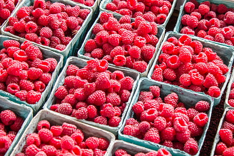 bundle of raspberry, raspberry, berries, red, punnet, basket, food, food and drink, full frame, fruit, freshness, healthy eating, backgrounds, berry fruit, large group of objects, wellbeing, retail, container, abundance, no people, sweet food, market, for sale, close-up, high angle view, ripe, consumerism, 5K, CC0, public domain, royalty free