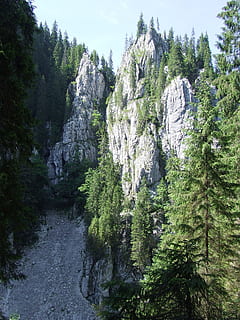 mirakler, karst, Skov, hule, klint, padis, Transsylvanien, plante, træ, skønhed i naturen, ro, natur, scenics - natur, vand, klippe, rolig scene, dag, ingen mennesker, ikke-urbane scene, bjerg, jord, vækst, himmel, rock formation, rock-objekt, udendørs, flydende vand, formation, eroderet, 2K, CC0, offentligt domæne, royaltyfrie