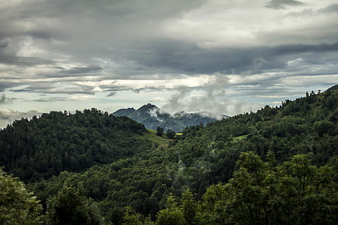 fotografi lanskap, gunung, siang hari, hijau, pohon, berawan, langit, awan, hutan, alam, pegunungan, pemandangan, mendung, medan terjal, di luar ruangan, lereng, perdamaian, diam, jarak, awan - langit, menanam, keindahan di alam, scenics - alam, warna hijau, adegan yang tenang, lingkungan Hidup, tidak ada orang, ketenangan, pertumbuhan, adegan non-urban, hari, dedaunan yang subur, dedaunan, di luar rumah, yg beralamat buruk, 5K, CC0, domain publik, bebas royalti