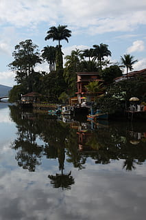 palmeres, reflexió, Brasil, aigua, Palmera, naturalesa, llac, arbre, cel, davant del mar, núvol - cel, planta, estructura construïda, clima tropical, cap gent, arquitectura, vaixell nàutic, escenics - natura, dia, bellesa a la natura, transport, a l'aire lliure, 4K, CC0, domini públic, lliure de regalies