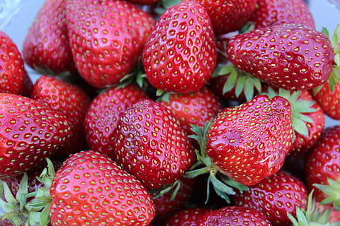 erdbeer, fruita, vermell, alimentació saludable, menjar, menjar i beguda, fruites de baies, benestar, frescor, maduixa, primer pla, cap gent, madur, natura morta, abundància, sucós, gran grup d'objectes, dia, grup d'objectes, enfocament selectiu, antioxidant, 5K, CC0, domini públic, lliure de regalies