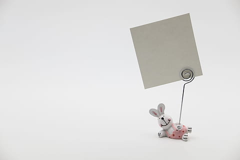 blanc, buit, paper, suport de paper de conill, conill de Pasqua, llebre, figura, missatge, Pasqua, tema de pasqua, mapa, postal, osterkarte, targeta de felicitació, decoració, deco, còpia espai, a l'interior, tir de l'estudi, cap gent, joguina, tallar, forma, fons blanc, natura morta, en blanc, comunicació, forma geomètrica, negocis, diversió, dos objectes, representació, creativitat, compost digital, 5K, CC0, domini públic, lliure de regalies