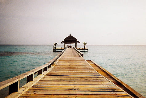 marron, en bois, passerelle, corps, eau, belvédère, Dock, mer, jour, paradis, bois - matériau, la nature, jetée, les vacances, en plein air, scène tranquille, ciel, Voyage, personne, été, plage, Destinations de voyage, paysage, promenade, paysages, littoral, horizon au-dessus de l'eau, horizon, direction, architecture, ciel clair, structure construite, la voie à suivre, paysages - nature, beauté dans la nature, espace de copie, tranquillité, boiseries, longue, 720P, CC0, domaine public, libre de droits