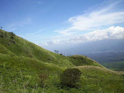 de weide, savanne, Java, oosten-, berg, Indonesisch, scenics - natuur, hemel, rustige scène, kalmte, schoonheid in de natuur, wolk - lucht, groene kleur, landschap, fabriek, gras, milieu, niet-stedelijke scène, berg-, natuur, land-, geen mensen, idyllisch, boom, groei, dag, buitenshuis, glooiend landschap, 2K, CC0, publiek domein, royaltyvrij