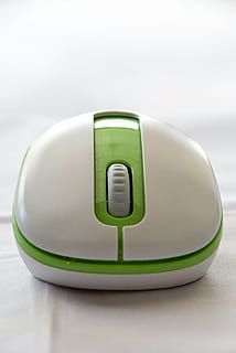 mus, trådløs, teknologi, elektronik, pc, computer, apparat, udstyr, optisk, design, hardware, computing, computermus, grøn farve, fokus på forgrunden, ingen mennesker, tæt på, computerudstyr, forbindelse, indendørs, studio skud, enkelt objekt, kopiere plads, sikkerhed, hvid farve, trådløs teknologi, bord, mad og drikke, 4K, CC0, offentligt domæne, royaltyfrie