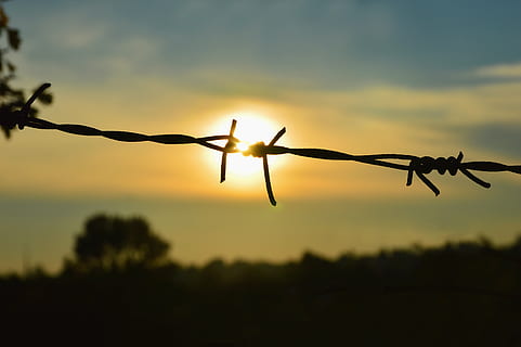 atrapado, cautiverio, liberación, Dep, Dom, cable, cerca, alambre de espino, prisión, proteccion, seguridad, puesta de sol, la seguridad, silueta, límite, barrera, cielo, metal, nadie, centrarse en primer plano, de cerca, agudo, naturaleza, al aire libre, nube - cielo, exclusión, 5K, CC0, dominio público, libre de derechos