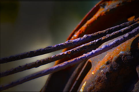 rust, rusten, skønhed, smuk, kunst, stål, jern, struktur, metal, korrosion, overflade, gammel, materiale, metallisk, rusted, rustik, ru, henfald, Brun, industriel, tæt på, ingen mennesker, fokus på forgrunden, selektiv fokusering, dag, natur, udendørs, forvitret, orange farve, sikkerhed, beskyttelse, automatisk postproduktionsfilter, mad og drikke, mad, skønhed i naturen, detalje, tekstureret, sollys, 4K, CC0, offentligt domæne, royaltyfrie