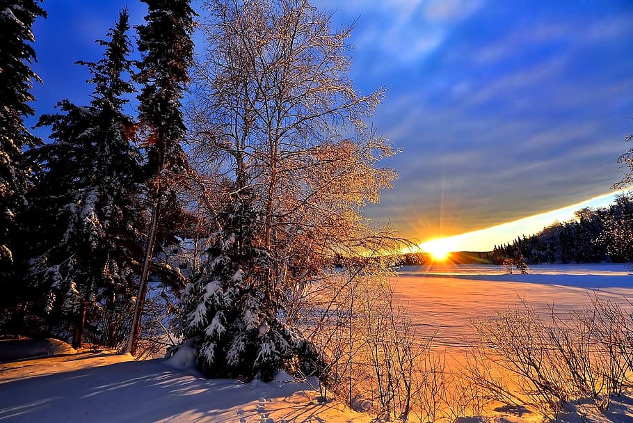 kahl, Baum, Schneefoto, Winterlandschaft, Sonnenuntergang, Winter, Dämmerung, kalt, Schnee, Natur, gegen tag, Farben, québec, Kanada, Wald, draußen, Landschaft, Blau, Jahreszeit, Frost, Himmel, kalte Temperatur, Pflanze, Szenen - Natur, Schönheit in der Natur, Ruhe, Sonnenlicht, ruhige Szene, keine Leute, Land, Umgebung, Sonne, gefroren, Linseneffekt, Eis, 1080P