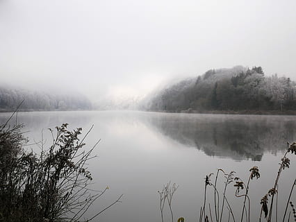elv, saar, vinter, Tyskland, natur, elv, Saar, vann, landskap, kald, vinterlig, moden, frost, innsjø, tre, scenics, skog, refleksjon, rolig scene, utendørs, tåke, himmel, ingen folk, naturskjønnhet - natur, ro, anlegg, skjønnhet i naturen, miljø, dag, morgen, 4K, CC0, offentlig domene, opphavsrett gratis