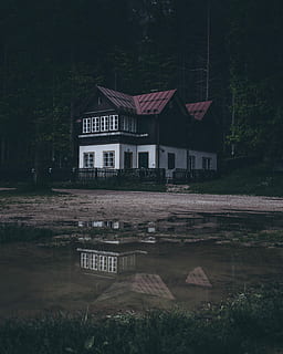 blanc, negre, fusta, casa, mig, bosc, marró, envoltar, arbres, bassal, reflexió, pluja, casa de camp, refugi, naturalesa, paisatge, a l'aire lliure, canviant d'humor, noperson, estructura construïda, exterior de l'edifici, arquitectura, aigua, planta, arbre, edifici, llac, cap gent, dia, barri residencial, davant del mar, creixement, 4K, CC0, domini públic, lliure de regalies