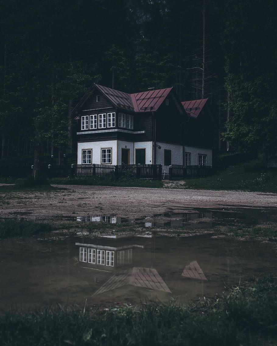 blanc, negre, fusta, casa, mig, bosc, marró, envoltar, arbres, bassal, reflexió, pluja, casa de camp, refugi, naturalesa, paisatge, a l'aire lliure, canviant d'humor, noperson, estructura construïda, exterior de l'edifici, arquitectura, aigua, planta, arbre, edifici, llac, cap gent, dia, barri residencial, davant del mar, creixement, 4K