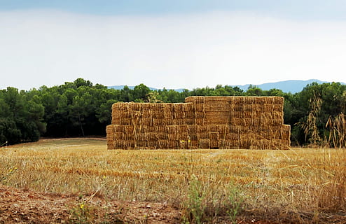 paisaje, almiar, Paja, verano, Paca de paja, granja, campo, agricultura, cielo, naturaleza, pacas de heno, heno, campos, rústico, fin del verano, rural, fondo, salvapantallas, escritorio, bala, pacas, siega, segar, seco, fuego, escena rural, cultivo, planta, tierra, árbol, tranquilidad, escena tranquila, ambiente, nadie, hierba, cosecha, crecimiento, al aire libre, 1080P, CC0, dominio público, libre de derechos