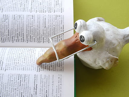 balts, printera grāmatu lapa, skolā, grāmata, zināt, lasīt, mācīties, izglītību, pētījumā, pārlūkot, fonts, literatūra, tekstu, apmācību, brilles, putns, māla figūra, apdare, gudrība, uzmanību, smieklīgi, bibliotēka, mācību grāmata, informāciju, valodās, pētniecību, zinātne, tulkošana, tulkot, leksikons, vārdnīca, svešvaloda, nozīme, lasīt vājumu, lappuse, gudrs, grāmatu lapa, alegorija, simbols, likumīgs, likumu, ļauj, papīrs, nodarbinātību, jautri, izlūkošana, studentiem, students, praktikants, skolotājs, lektors, profesors, treneris, tuvplāns, telpās, avīze, nav cilvēku, komunikāciju, publikāciju, rietumu skripts, pārstāvība, datus, finansējumu, mediji, Klusā daba, investīcijas, Bizness, tirdzniecību, 4K, CC0, publiskais domēns, bez atlīdzības