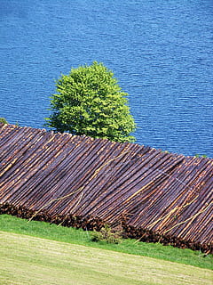 Holz, Baumstämme, Protokollierung, Baum, Natur, Borke, Holzstapel, Belastungen, Log, Stapel, Pflanze, grüne Farbe, Tag, Gras, keine Leute, Wasser, Wachstum, High Angle View, draußen, Blau, Land, Holz - Material, Ruhe, Schönheit in der Natur, Feld, die Architektur, braun, 2K, CC0, gemeinfrei, lizenzfrei